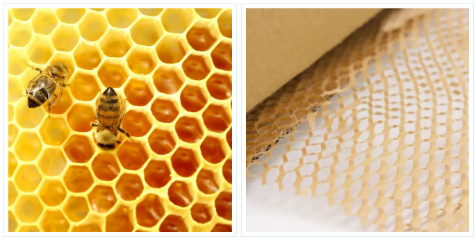 蜂窝纸，蜂巢纸，蜂窝结构，立体蜂窝状